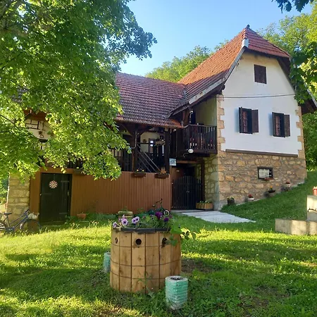 Ferienhaus Etno Kuca Milidrag